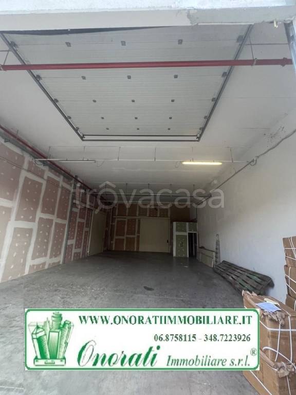 immagine annuncio 12 di 13