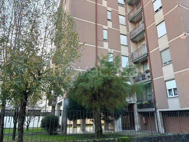immagine annuncio 1 di 12