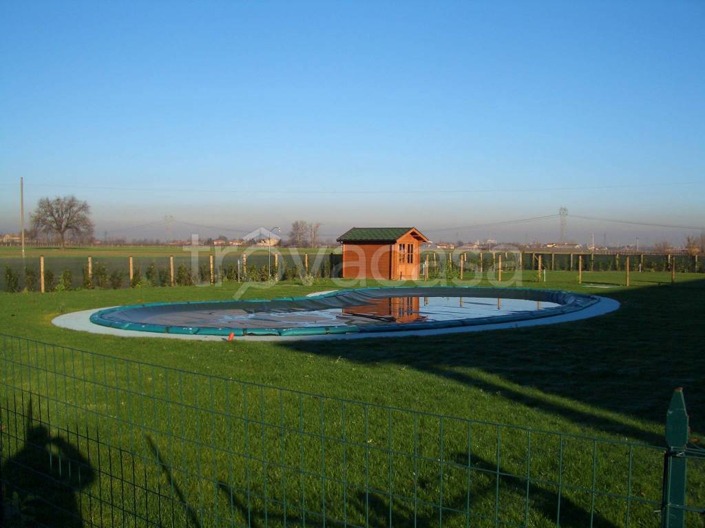 immagine annuncio 9 di 14
