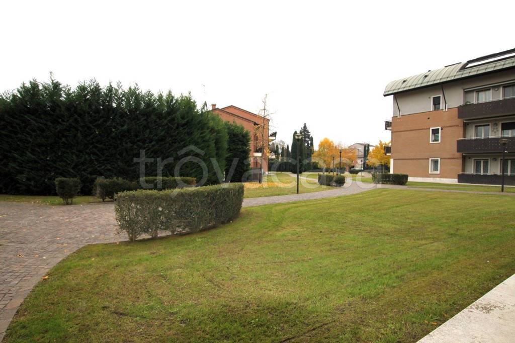 immagine annuncio 11 di 14
