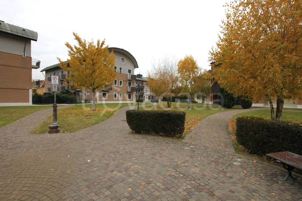 immagine annuncio 13 di 14