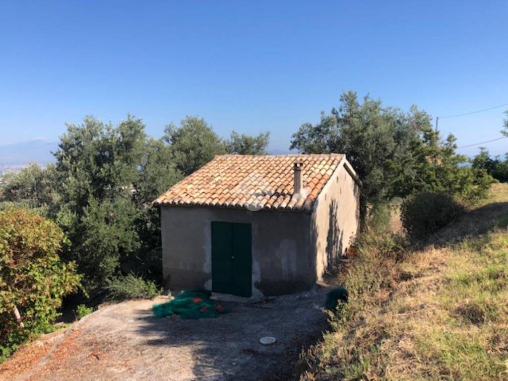 immagine annuncio 10 di 14