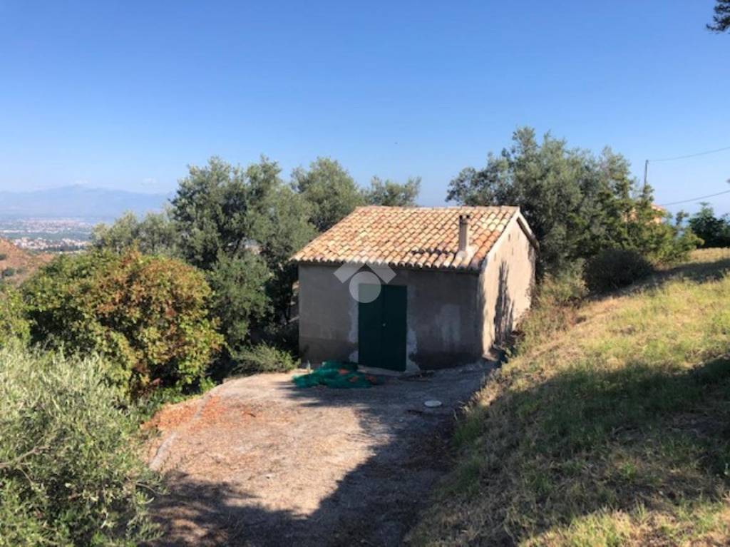 immagine annuncio 8 di 14