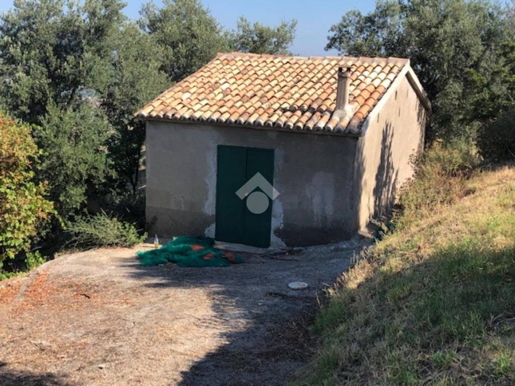 immagine annuncio 13 di 14