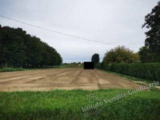 Terreno agricolo all'asta a lendinara via crosara n. 24, fraz. saguedo