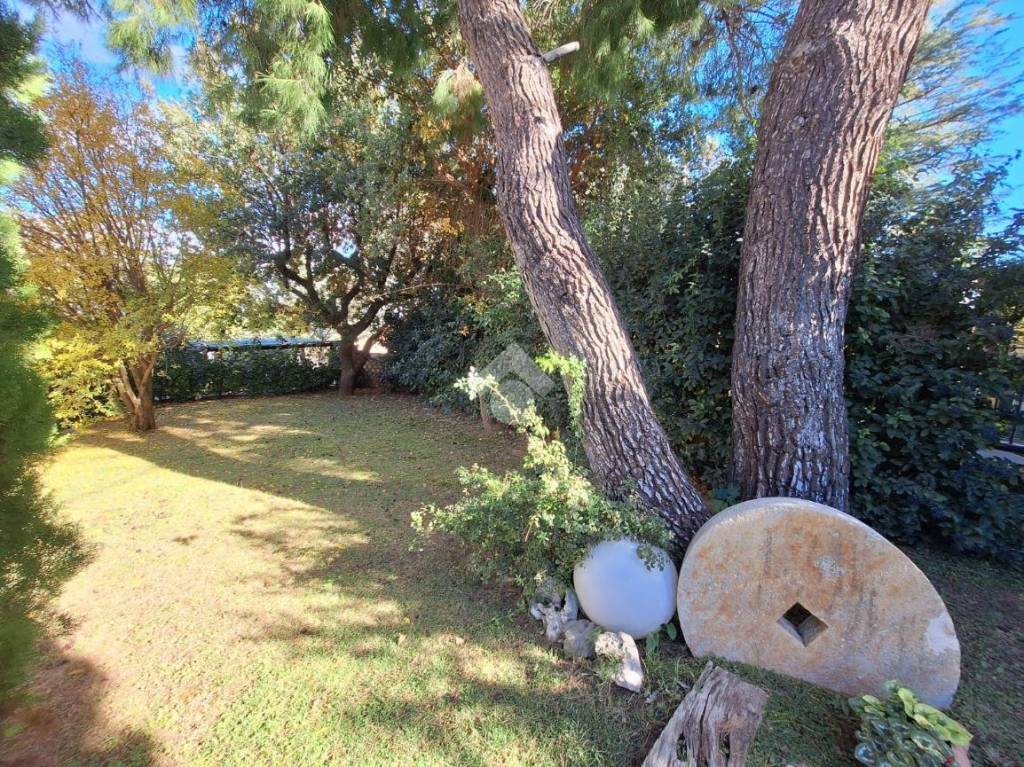 immagine annuncio 11 di 13