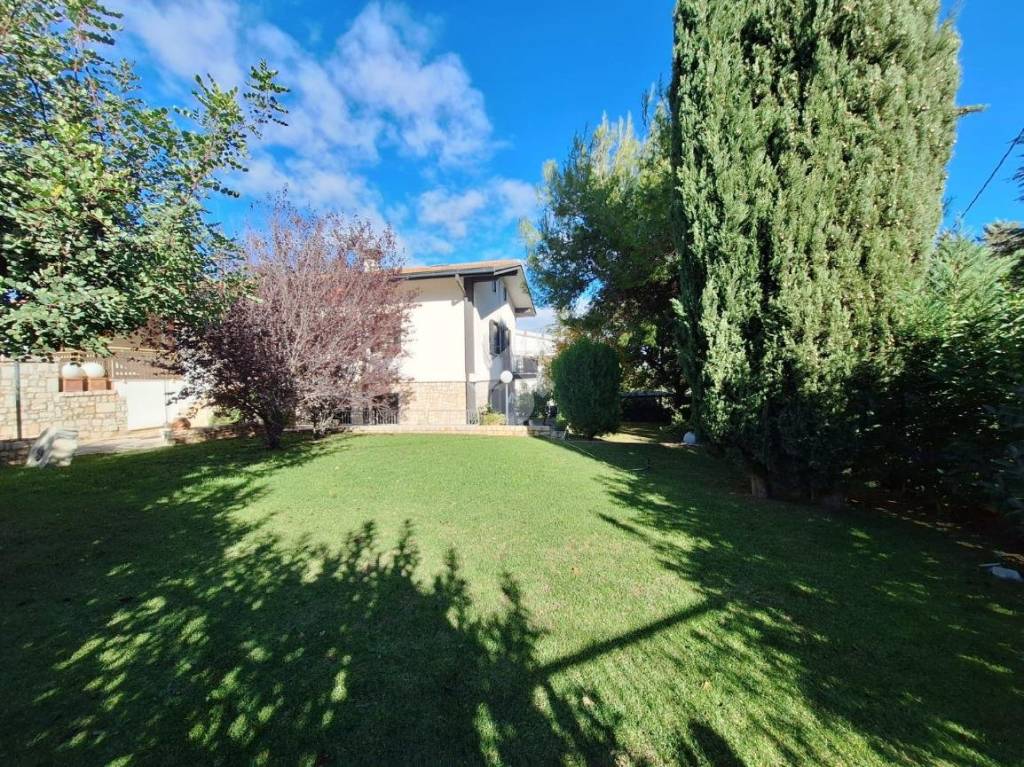 immagine annuncio 9 di 13