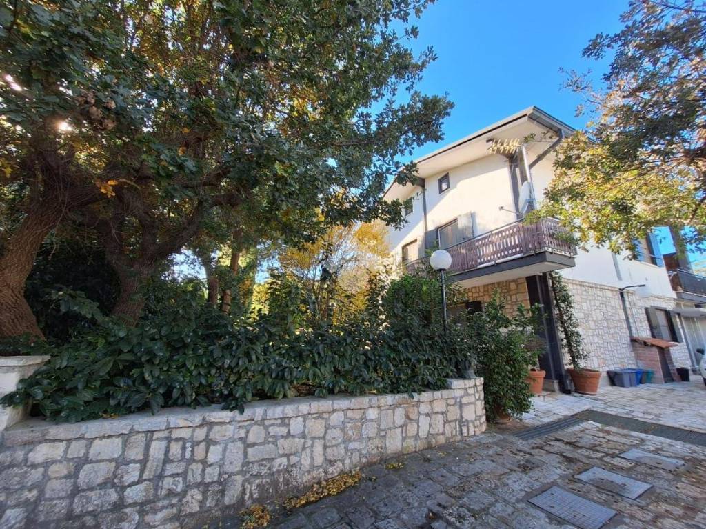 immagine annuncio 10 di 13