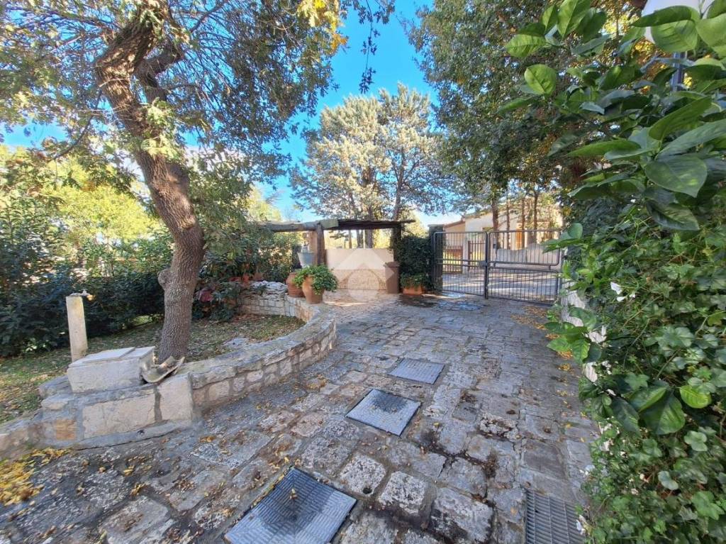 immagine annuncio 12 di 13