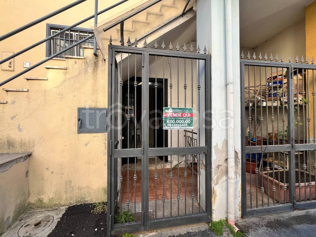 immagine annuncio 11 di 14