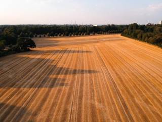 Terreno agricolo in vendita a padova via romana aponense