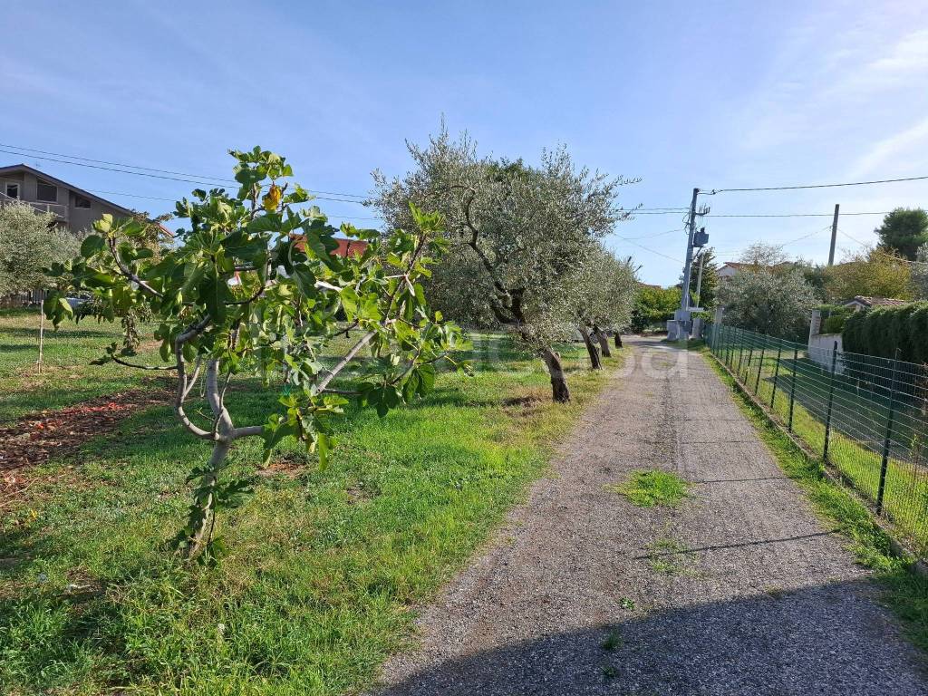 immagine annuncio 1 di 2