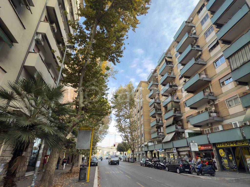 immagine annuncio 7 di 11