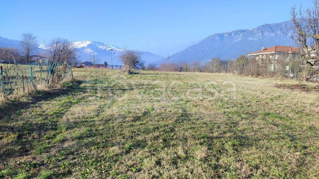 immagine annuncio 5 di 6