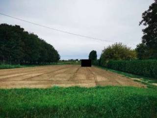 Terreno agricolo all'asta a lendinara via crosara