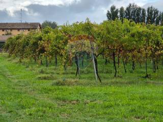 Terreno agricolo in vendita a correggio via canolo