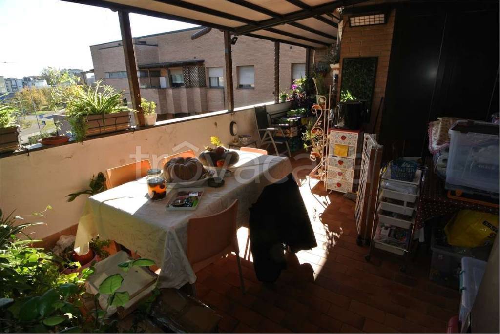 immagine annuncio 12 di 15