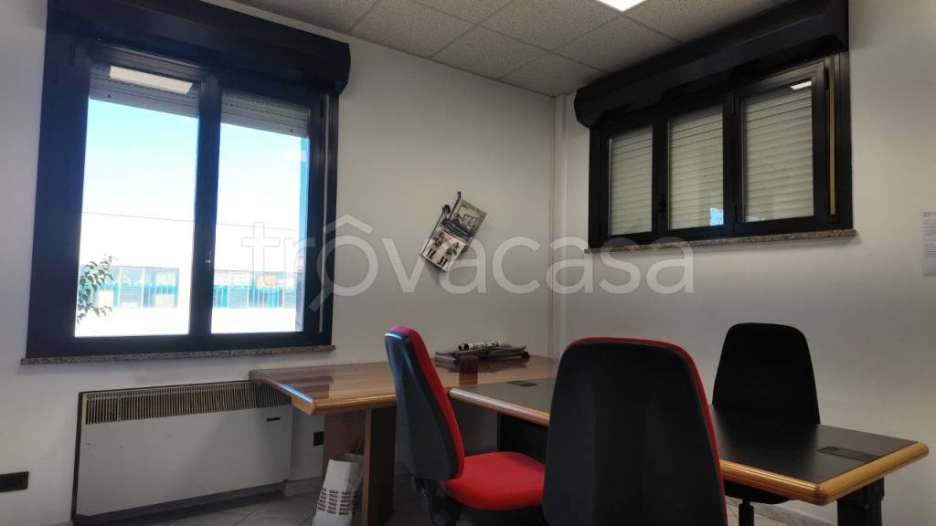 immagine annuncio 12 di 15