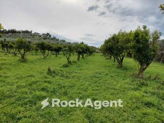 Terreno agricolo in vendita a crotone strada statale 107 silana crotonese