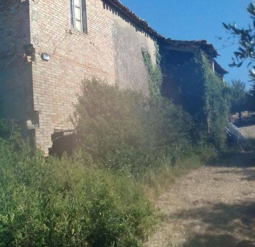immagine annuncio 5 di 6