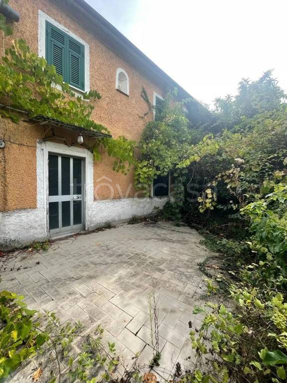 immagine annuncio 6 di 12