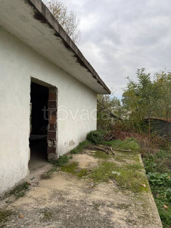 immagine annuncio 3 di 12