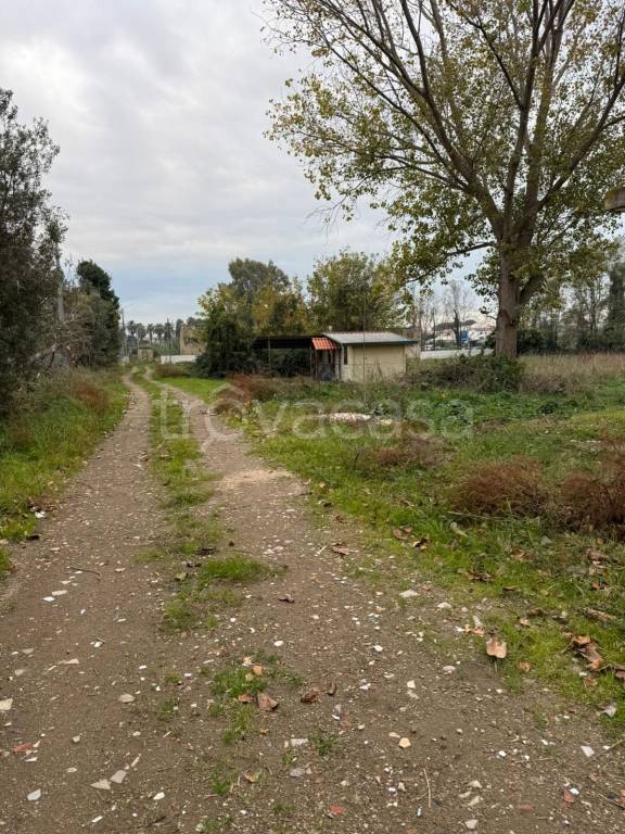 immagine annuncio 8 di 12