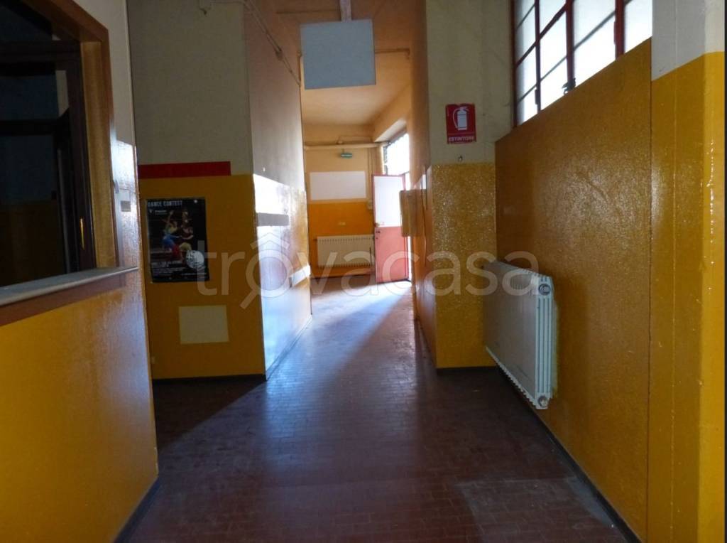 immagine annuncio 3 di 9