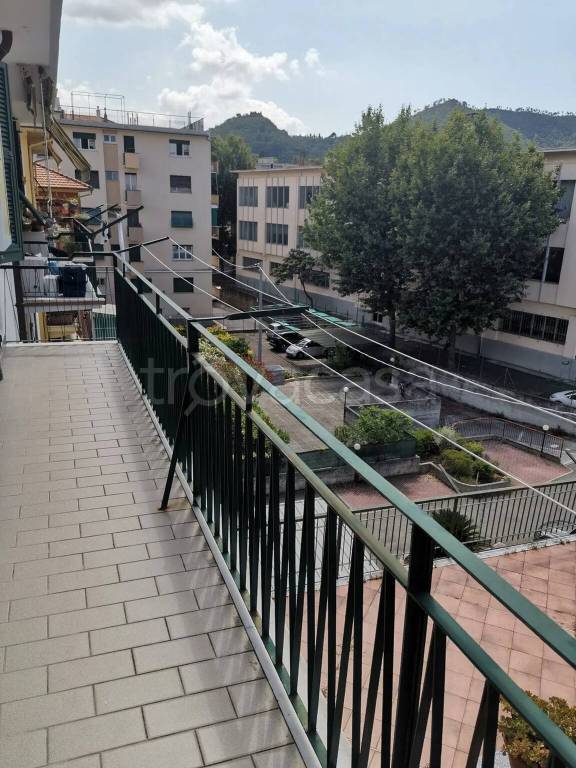 immagine annuncio 2 di 14