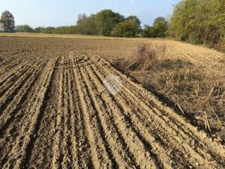 Terreno agricolo in vendita a cumiana strada galavardiera