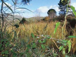 Terreno agricolo all'asta a enna via della rinascita, 102