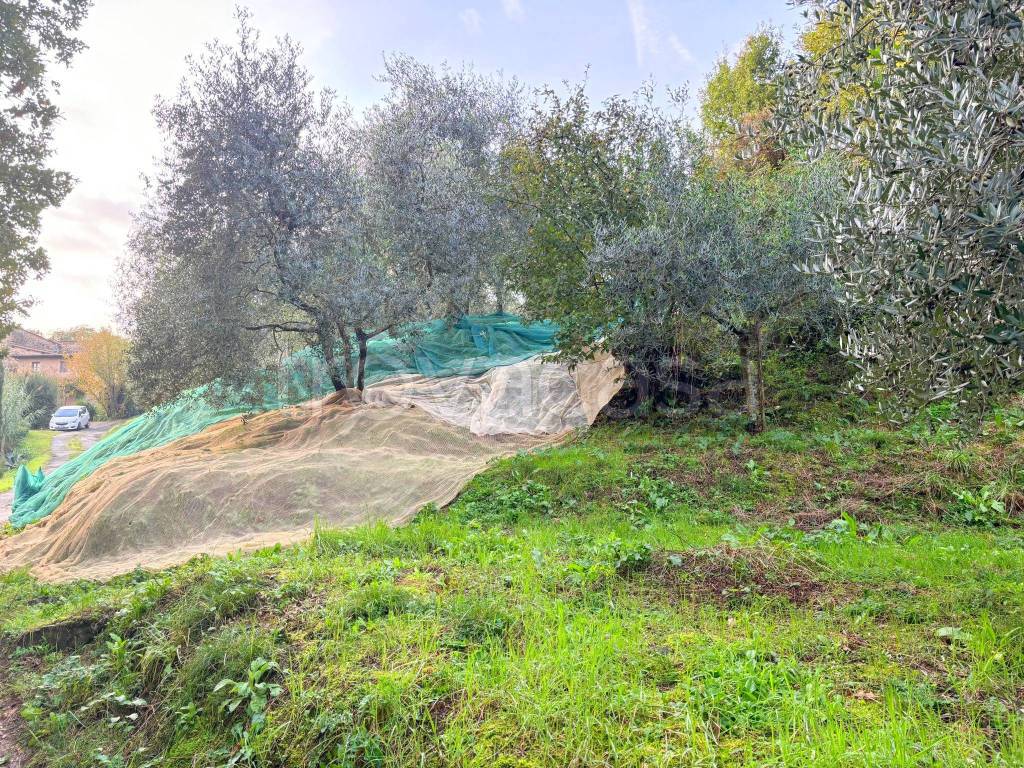 immagine annuncio 6 di 11