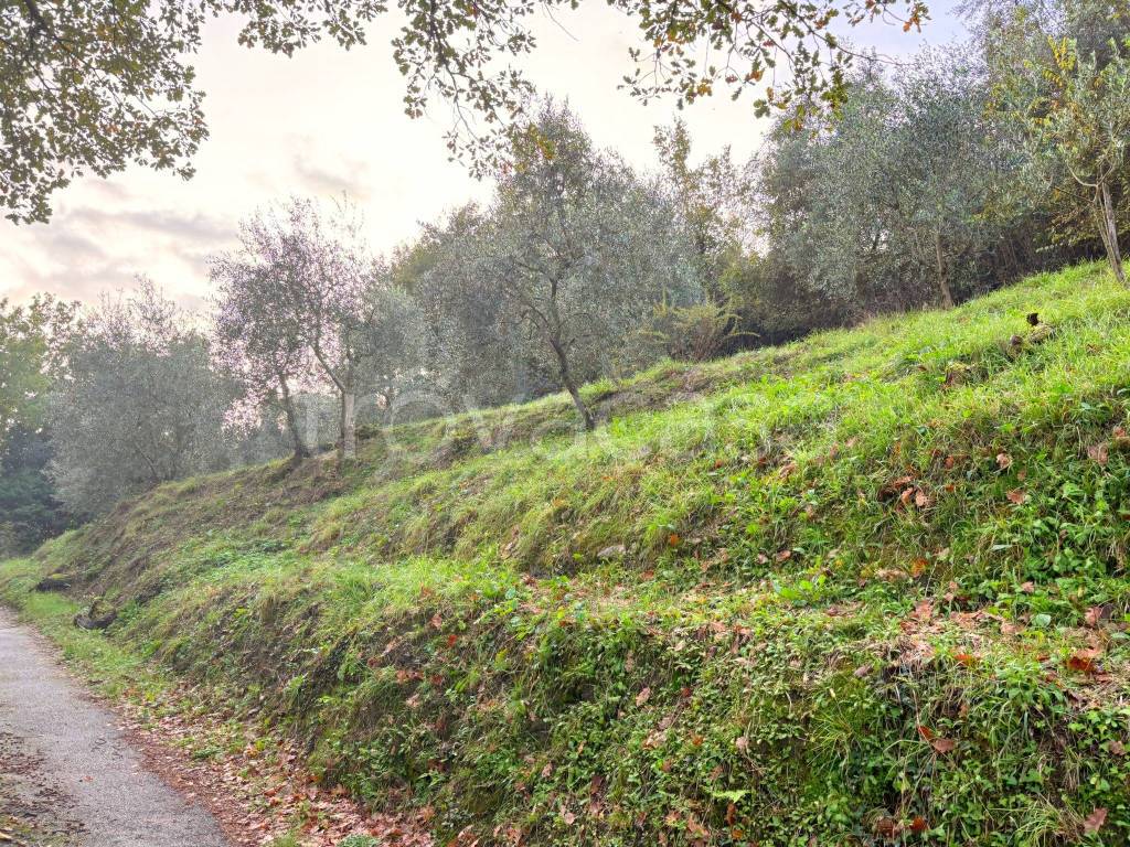 immagine annuncio 7 di 11