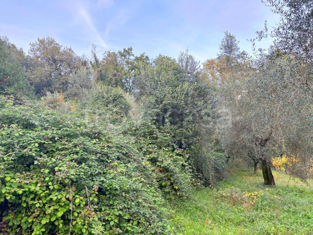 immagine annuncio 9 di 11
