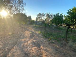 Terreno agricolo in vendita ad alezio strada vicinale pirielli