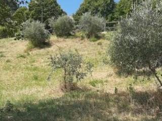 Terreno residenziale in vendita a bertinoro 