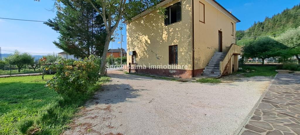 immagine annuncio 3 di 12