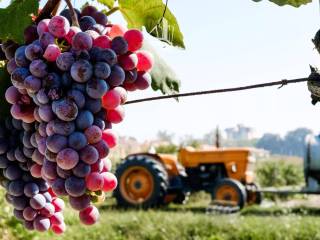 Terreno agricolo in vendita a bolzano kaiserau