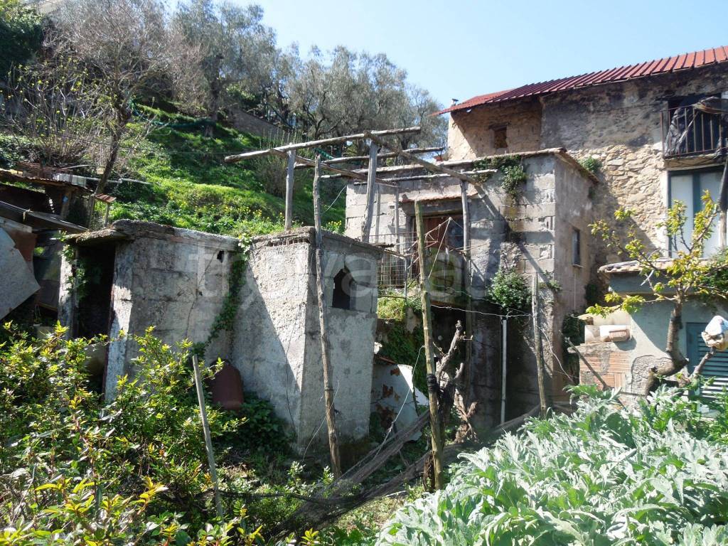 immagine annuncio 1 di 6
