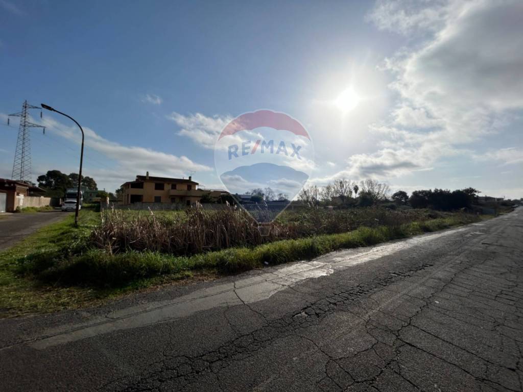 immagine annuncio 3 di 8