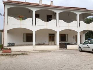 Terreno agricolo in vendita a larino strada di bonifica n. 56 larino guglionesi