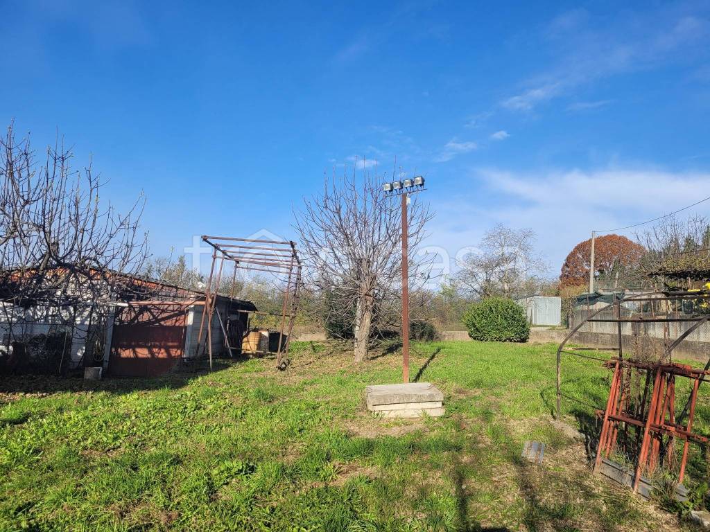 immagine annuncio 2 di 6