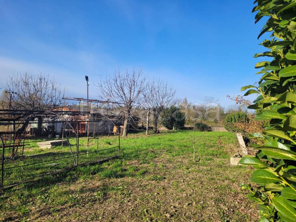 immagine annuncio 2 di 4