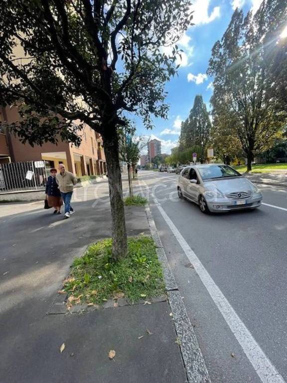immagine annuncio 5 di 14