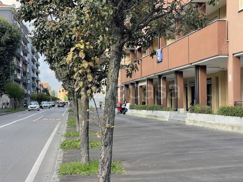 immagine annuncio 8 di 14
