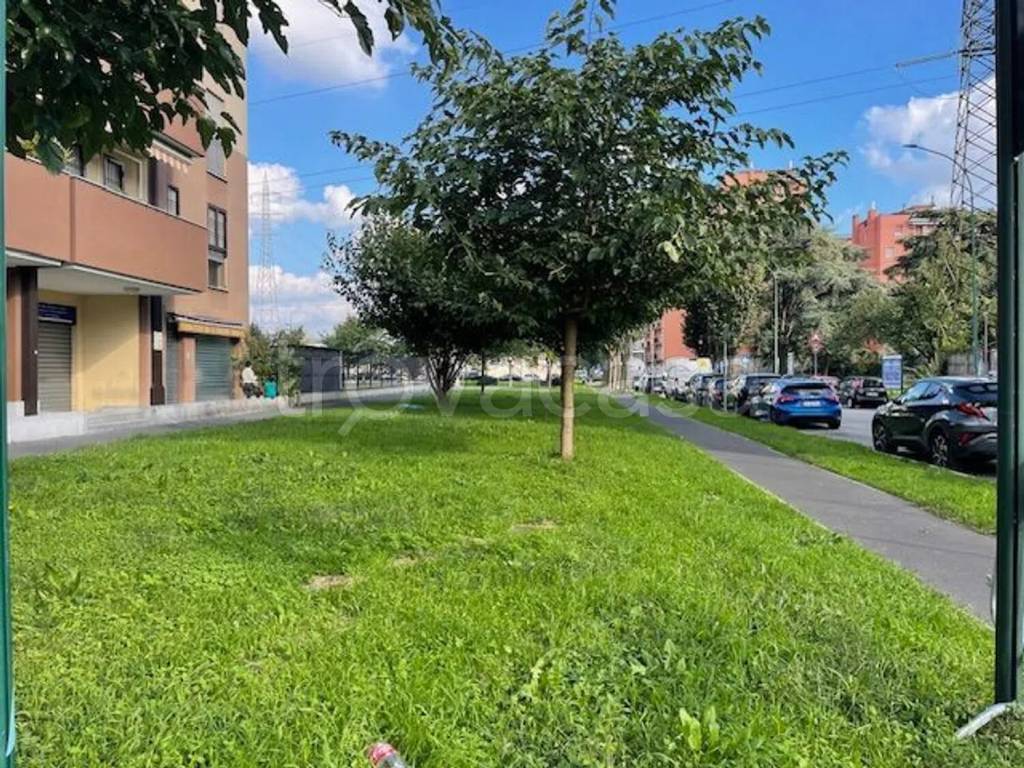 immagine annuncio 9 di 14