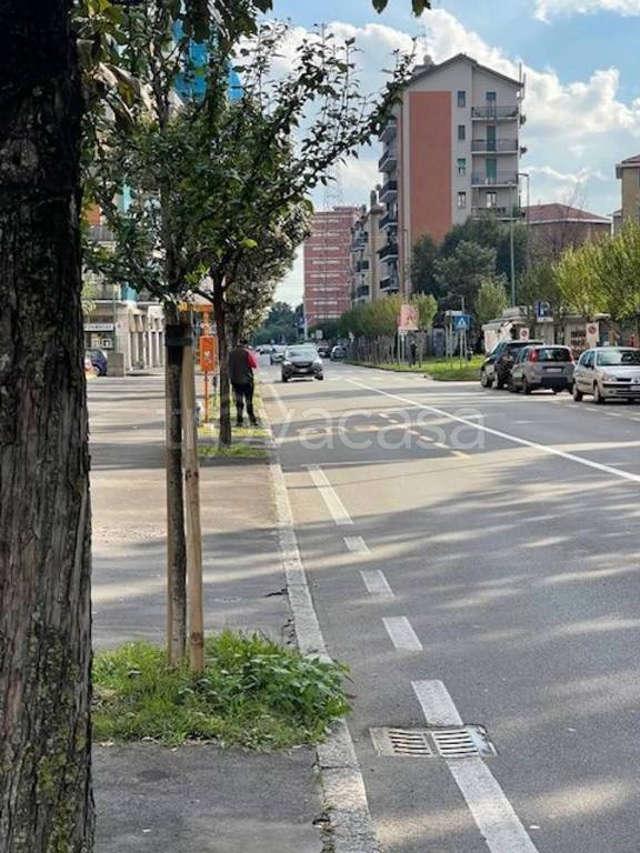 immagine annuncio 5 di 12