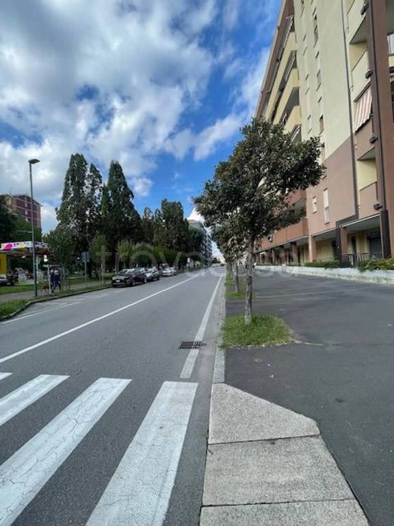 immagine annuncio 8 di 12