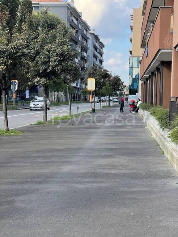 immagine annuncio 9 di 12
