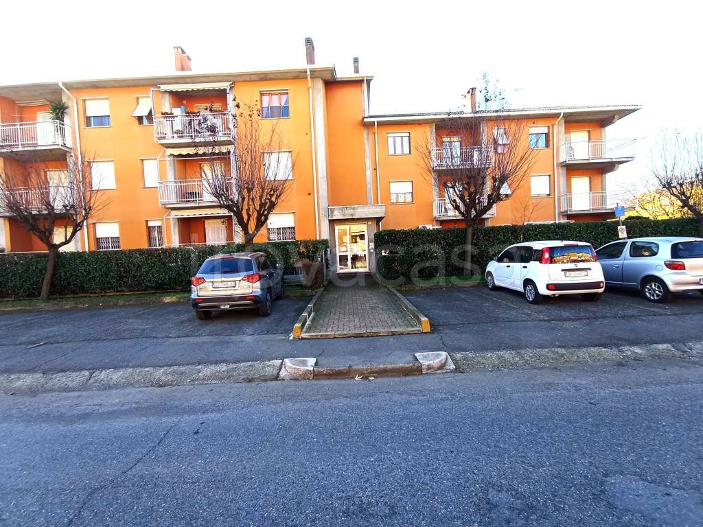 immagine annuncio 1 di 15